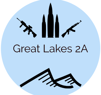 Common Sense Guns and Politics